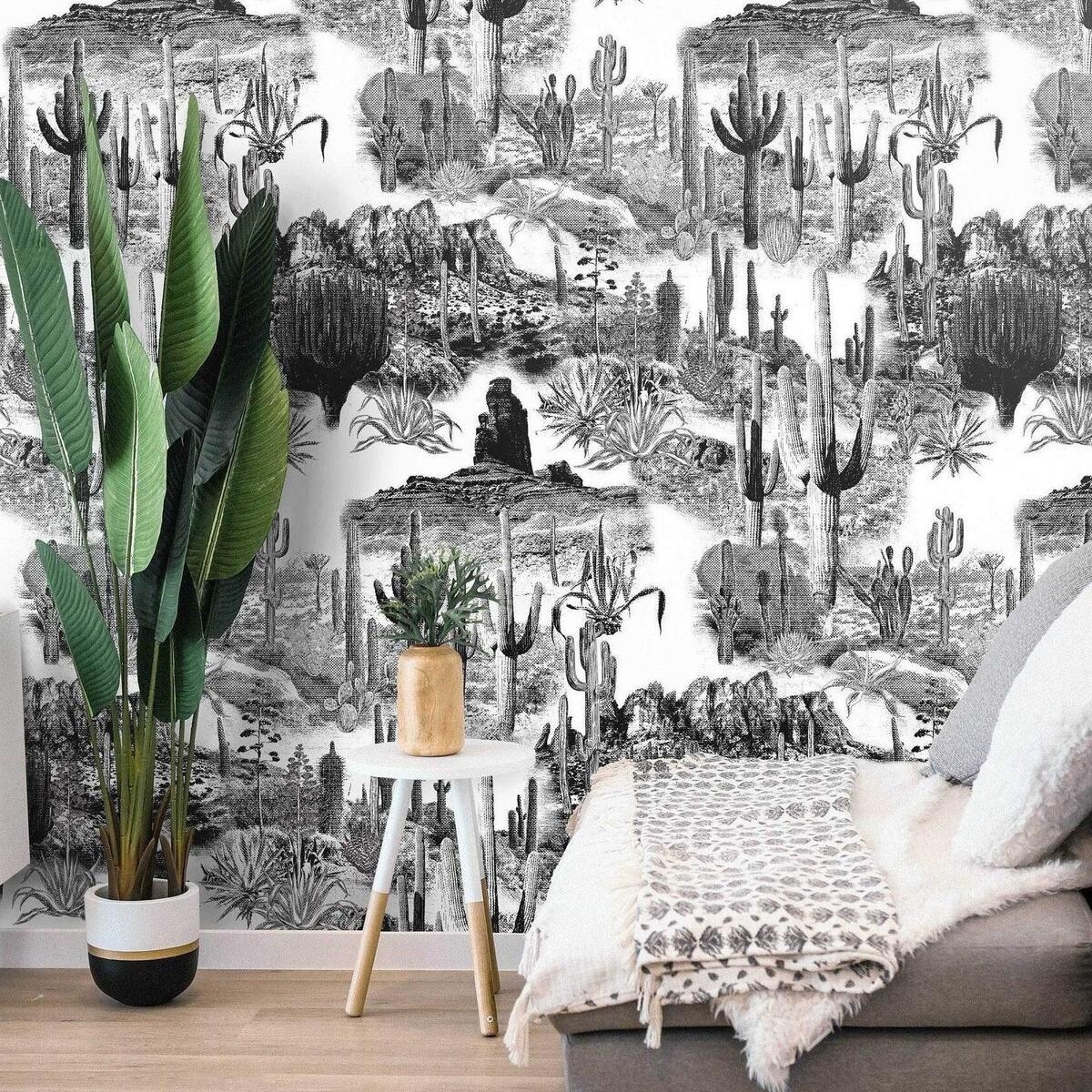 Zelfklevend modern zwart-wit behang voor woonkamer Cactus Aanbieding Zelfklevend modern zwart-wit behang voor woonkamer Cactus Aanbieding
