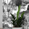 Zelfklevend modern zwart-wit behang voor woonkamer Cactus Korting