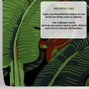Design behang zelfklevend jungle natuur Zwarte Bananenblad Catalogus