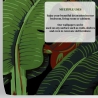 Design behang zelfklevend jungle natuur Zwarte Bananenblad Catalogus