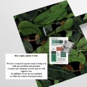 Design behang zelfklevend jungle natuur Zwarte Bananenblad Voorraad