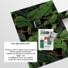 Design behang zelfklevend jungle natuur Zwarte Bananenblad Voorraad
