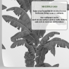 Behang Urban Jungle Planten Wit en Grijs Exotische Palmen Aanbod