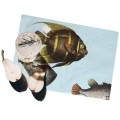 Set van 2 maritieme design placemats tafel 42x30cm Acquario Aanbieding