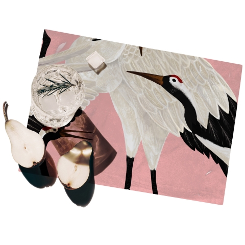 Set van 2 kunststof placemats 42x30 cm Aironi Rosa Aanbieding