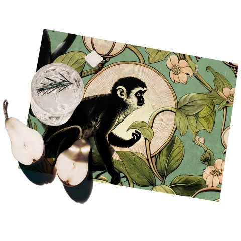 Set van 2 groene placemats voor ontbijttafel met aapjesmotief Aanbieding