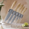 Set van 5 roestvrijstalen messen met transparant blok Pierre Gourmet Verkoop