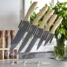 Set van 5 roestvrijstalen messen met transparant blok Pierre Gourmet Aanbod