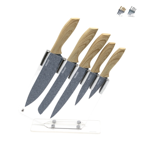 Set van 5 roestvrijstalen messen met transparant blok Pierre Gourmet Aanbieding