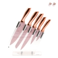 Set van 5 roestvrijstalen messen met transparant blok Bisetti Stonerose Aanbieding