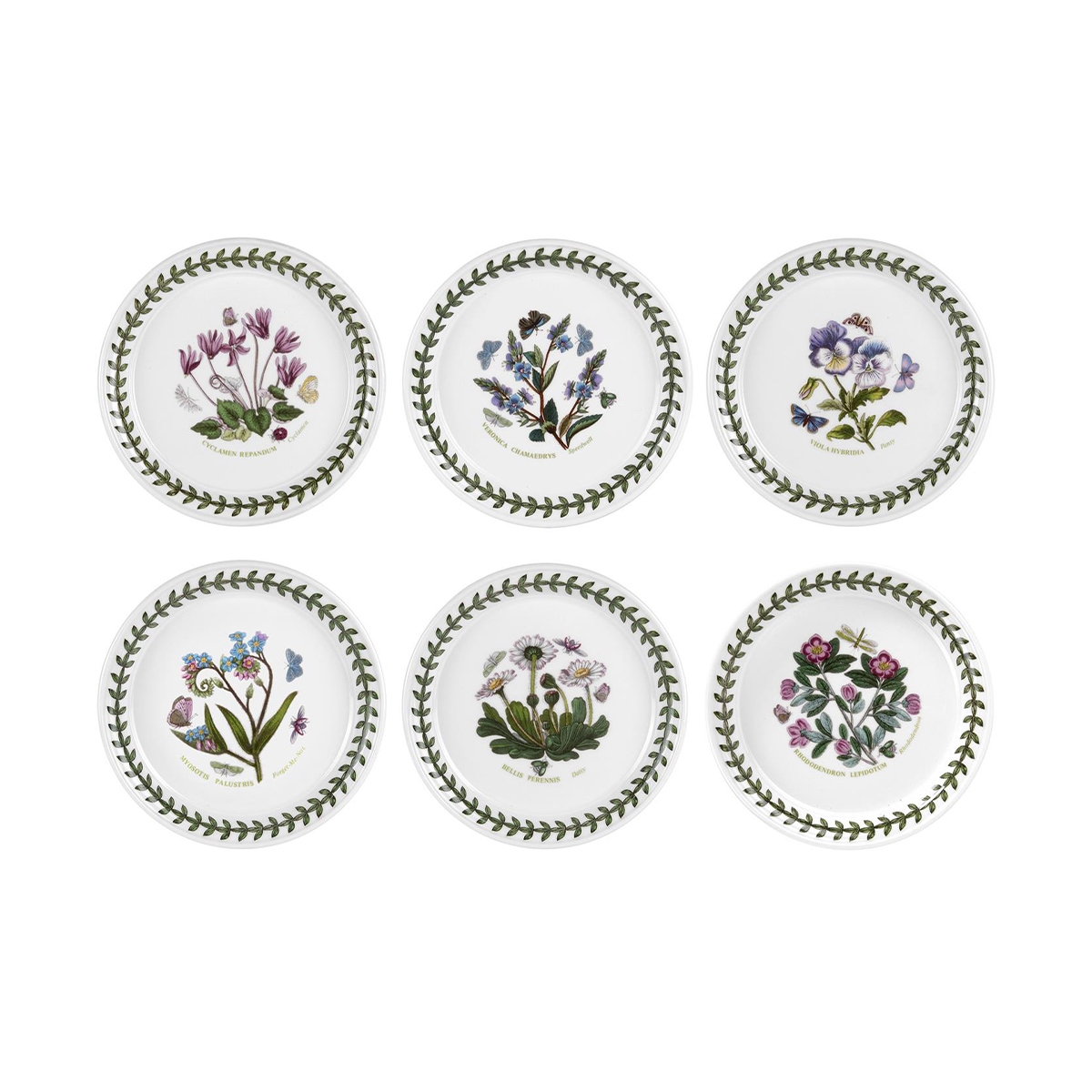 Set van 6 porseleinen botervlootjes 16,5 cm Botanic Garden Aanbieding Set van 6 porseleinen botervlootjes 16,5 cm Botanic Garden Aanbieding