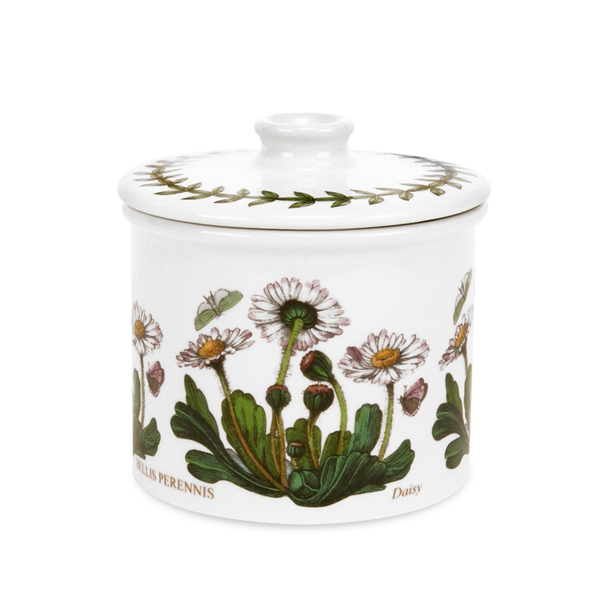 Ronde suikerpot van keramiek Portmeirion Botanic Garden Aanbieding Ronde suikerpot van keramiek Portmeirion Botanic Garden Aanbieding
