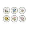 Set van 6 borden 25 cm in porselein Portmeirion Botanic Garden Aanbieding