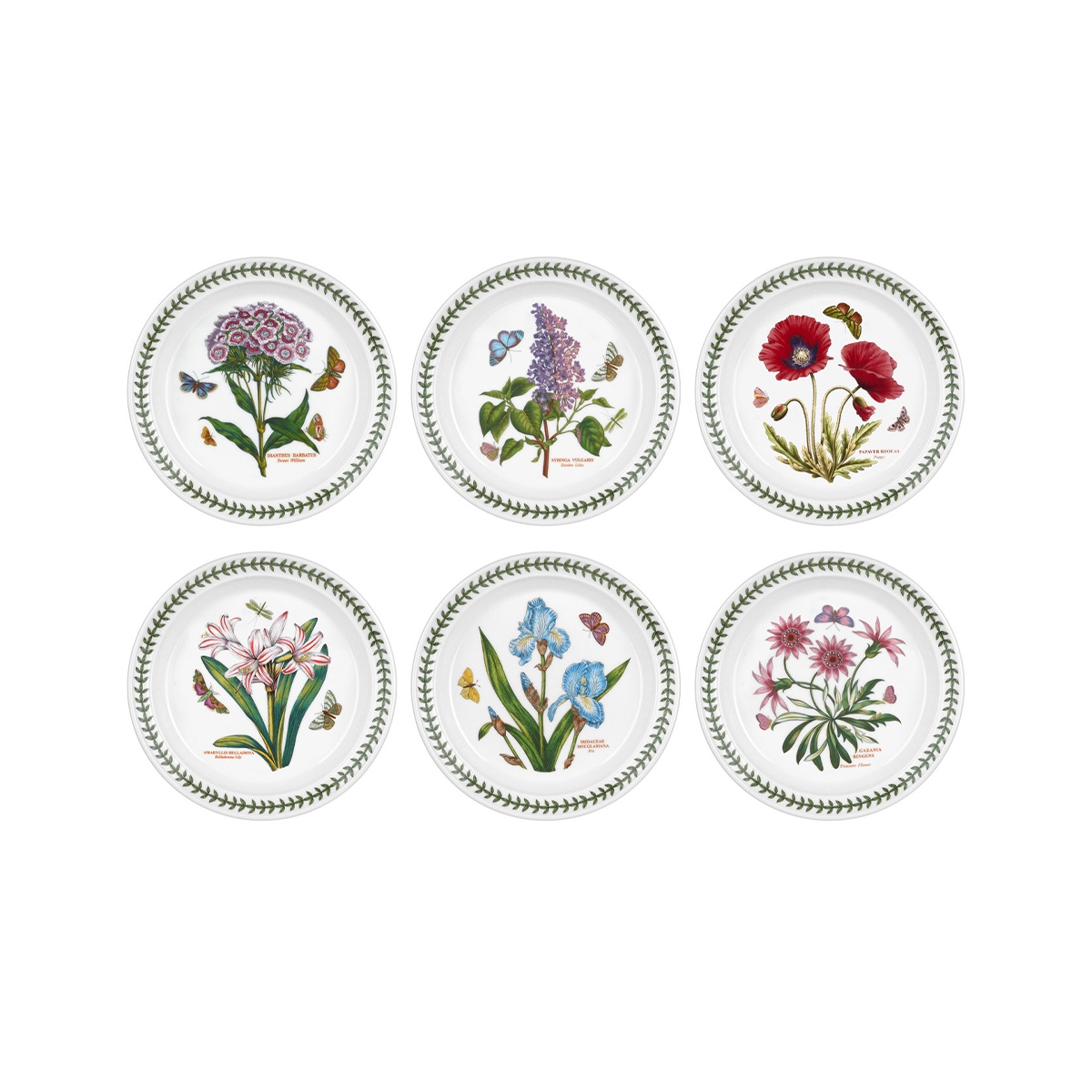 Set van 6 platte borden 20 cm in porselein Portmeirion Botanic Garden Aanbieding Set van 6 platte borden 20 cm in porselein Portmeirion Botanic Garden Aanbieding