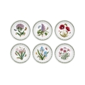 Set van 6 platte borden 20 cm in porselein Portmeirion Botanic Garden Aanbieding