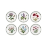 Set van 6 platte borden 20 cm in porselein Portmeirion Botanic Garden Aanbieding