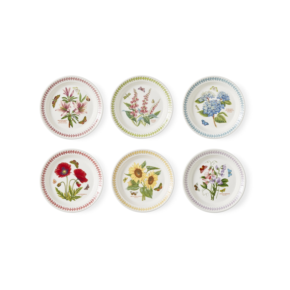Set van 6 kleine borden 21,5 cm Portmeirion Botanic Garden Meadow Aanbieding