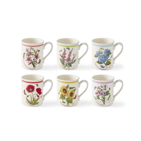 Set van 6 ontbijtkoppen 260 ml Portmeirion Botanic Garden Meadow Aanbieding