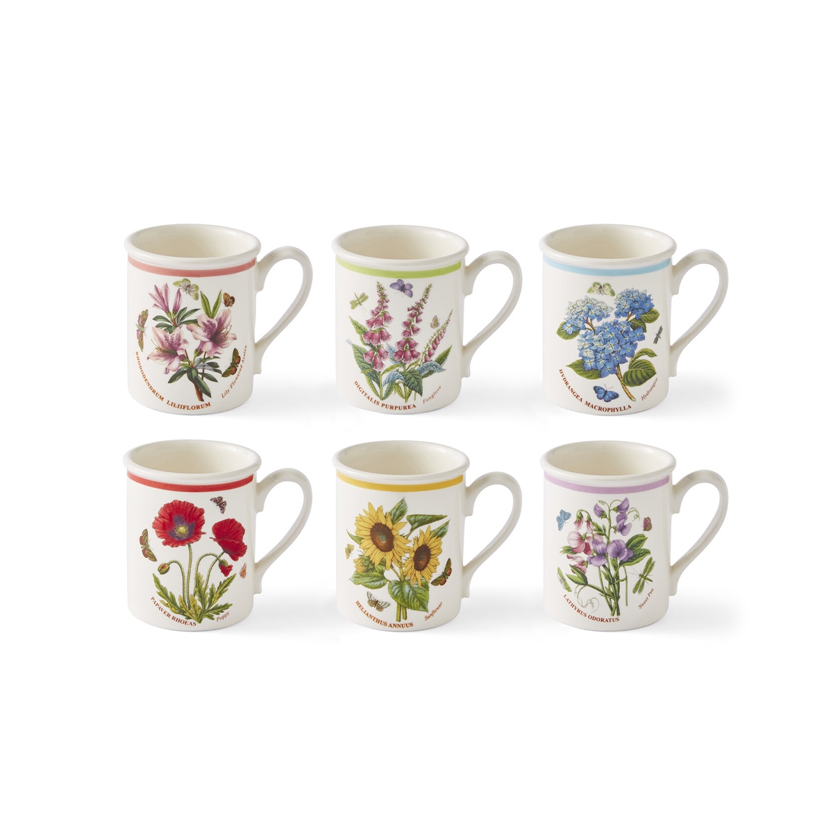 Set van 6 ontbijtkoppen 260 ml Portmeirion Botanic Garden Meadow Aanbieding