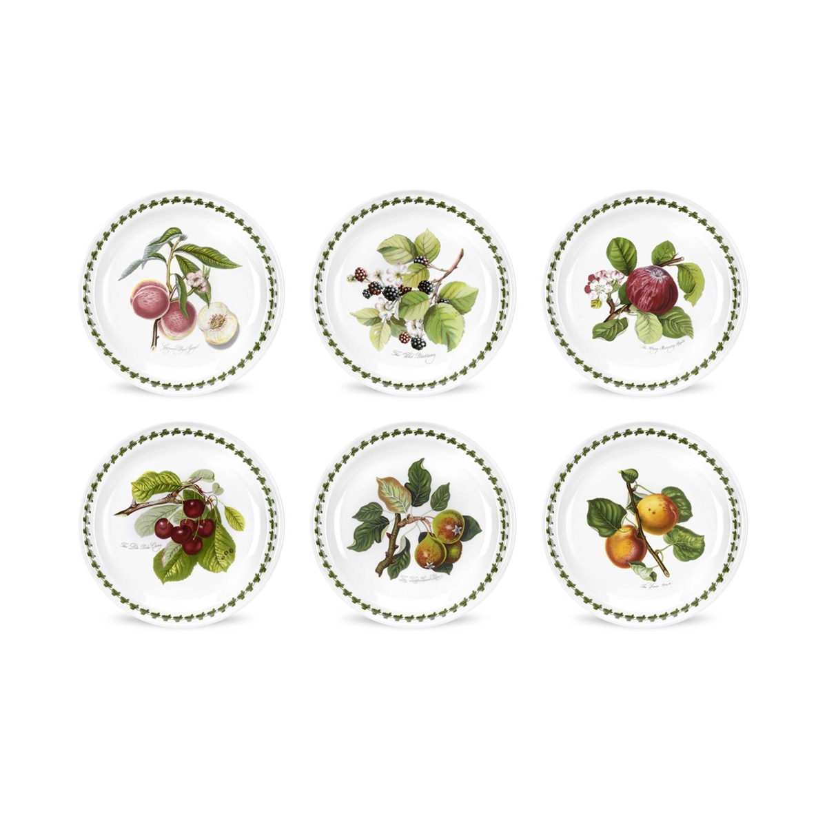 Set van 6 platte porseleinen borden 20cm Portmeirion Pomona Aanbieding