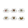 Set van 6 theekopjes met schoteltje in porselein Portmeirion Pomona Aanbieding