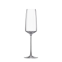Set van 6 flûte proefglazen voor keuken en bar 250ml Siesta Verkoop
