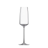 Set van 6 flûte proefglazen voor keuken en bar 250ml Siesta Verkoop