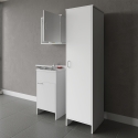 Set wasmeubel met wandkast en kolom Negrari COMP 5 Verkoop