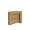 Uitschuifbare console tafel voor eetkamer-ingang, geschikt voor 10 personen, 90×25-211 Kiba 