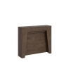 Moderne minimalistische uitschuifbare console 90×25-211 Anea Kosten