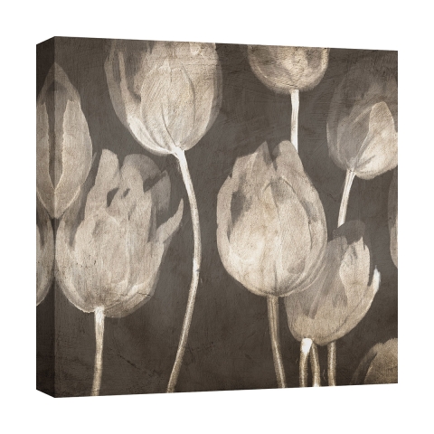 Moderne canvasafdruk tulpen Washed Tulips I Luca Villa Aanbieding
