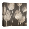 Moderne canvasafdruk tulpen Washed Tulips I Luca Villa Aanbieding