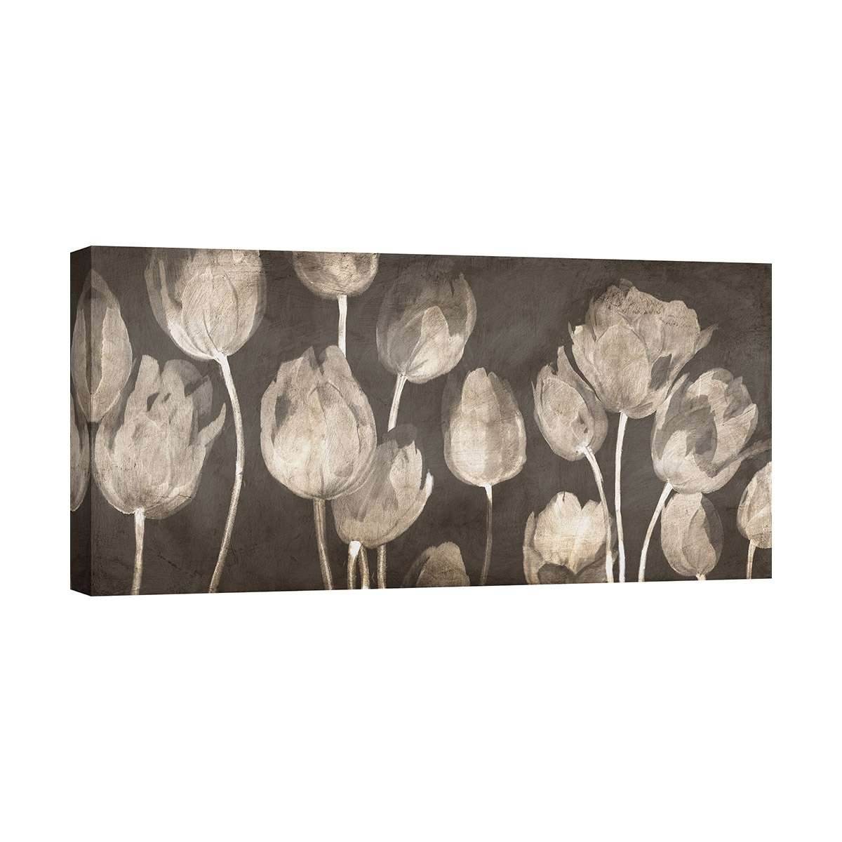Moderne canvasprint tulpen schilderij Washed Tulips Luca Villa Aanbieding Moderne canvasprint tulpen schilderij Washed Tulips Luca Villa Aanbieding