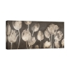 Moderne canvasprint tulpen schilderij Washed Tulips Luca Villa Aanbieding