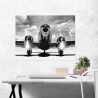 Wanddecoratie canvas zwart-wit vintage vliegtuig Airplane taking off Korting