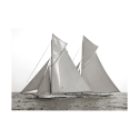 Zwart-wit afdruk op canvas zeilboot Columbia & Shamrock 1901 Aanbod