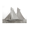 Zwart-wit afdruk op canvas zeilboot Columbia & Shamrock 1901 Aanbod