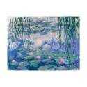 Impressionistische canvasdoekafdruk Waterlelies Claude Monet Aanbod