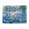 Impressionistische canvasdoekafdruk Waterlelies Claude Monet Aanbod