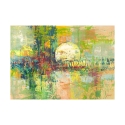 Moderne abstracte canvasprint Volle maan Lucas Aanbod