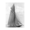 Canvasafdruk The Vanitie During the America's Cup, 1910 Edwin Levick Aanbod