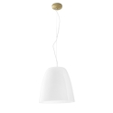 Hanglamp goud metalen frame glazen kap Ares L1 Verkoop