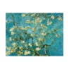 Canvas schilderij impressionisme Amandelbloesem Vincent van Gogh Aanbod