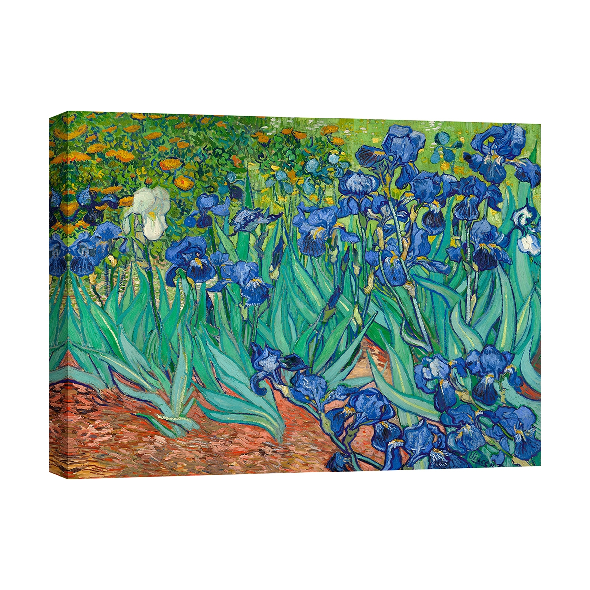 Impressionistisch canvas schilderij Iris Vincent van Gogh Aanbieding Impressionistisch canvas schilderij Iris Vincent van Gogh Aanbieding