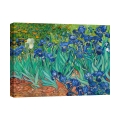 Impressionistisch canvas schilderij Iris Vincent van Gogh Aanbieding