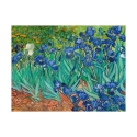 Impressionistisch canvas schilderij Iris Vincent van Gogh Aanbod