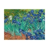 Impressionistisch canvas schilderij Iris Vincent van Gogh Aanbod