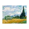 Impressionistische canvasprint "Campo di Grano con Cipressi" van Gogh Aanbod