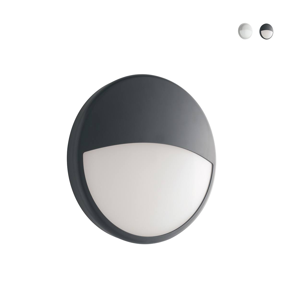 LED plafondlamp voor buiten, ronde tuinlamp 22cm Ever Aanbieding LED plafondlamp voor buiten, ronde tuinlamp 22cm Ever Aanbieding
