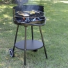 Pipra ronde houtskoolbarbecue met verstelbaar rooster Ø 48cm en wielen Verkoop
